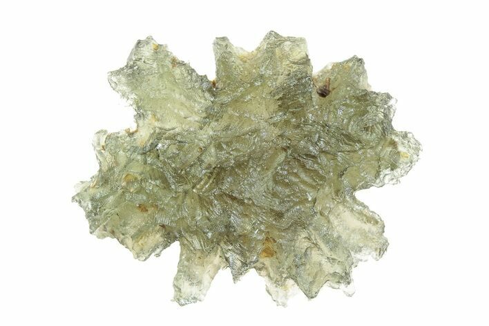 Green Moldavite Tektite ( g) - Besednice, Czech Republic #376279